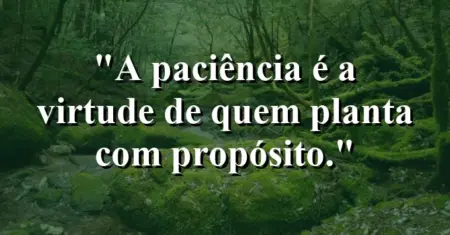A paciência é a virtude de quem planta com propósito.