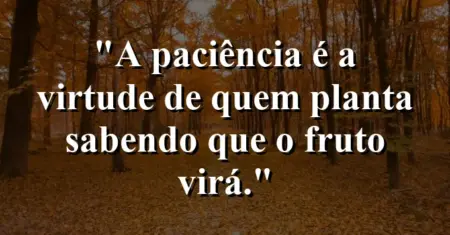 A paciência é a virtude de quem planta sabendo que o fruto virá.