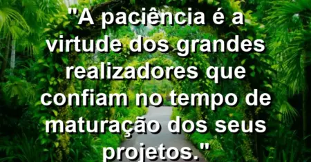 “A paciência é a virtude dos grandes realizadores que confiam no tempo de maturação dos seus projetos.”