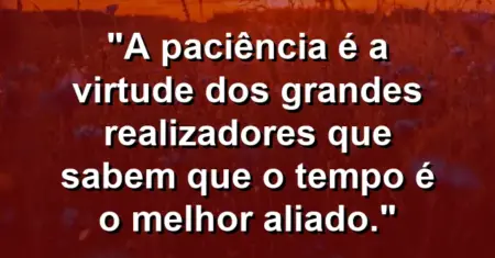 “A paciência é a virtude dos grandes realizadores que sabem que o tempo é o melhor aliado.”