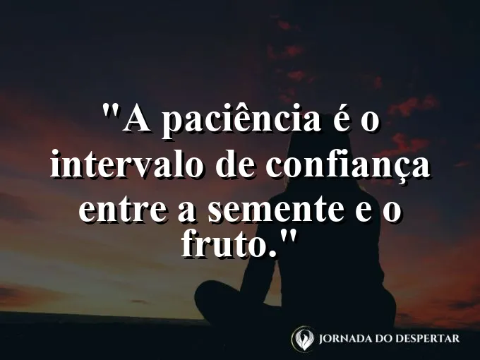 Campo de cultivo sob o sol da tarde com brotos crescendo.