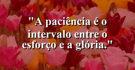 A paciência é o intervalo entre o esforço e a glória.