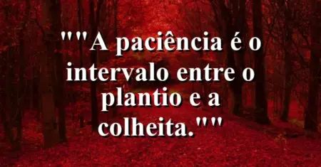 “A paciência é o intervalo entre o plantio e a colheita.”