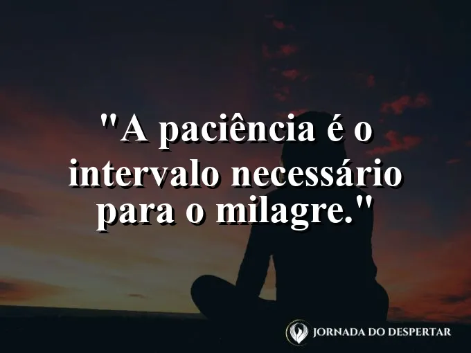 Botão de flor prestes a desabrochar em um jardim ensolarado.
