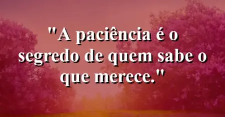 A paciência é o segredo de quem sabe o que merece.
