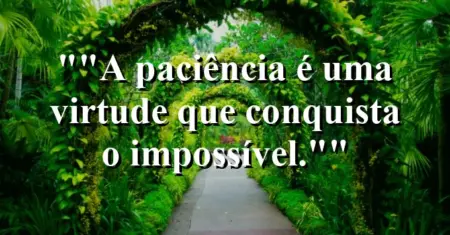 “A paciência é uma virtude que conquista o impossível.”