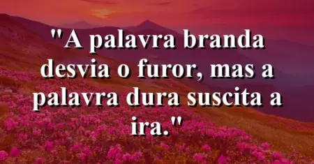 “A palavra branda desvia o furor, mas a palavra dura suscita a ira.”