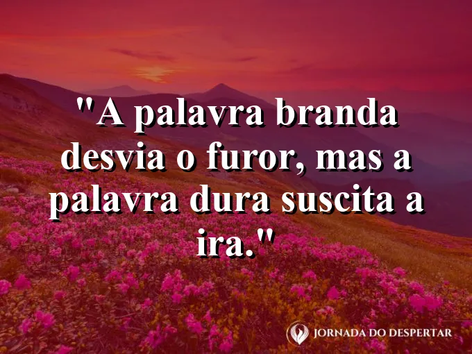 Pena de ave flutuando sobre águas calmas com frase sobre o poder da palavra branda hoje.