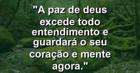 “A paz de Deus excede todo entendimento e guardará o seu coração e mente agora.”