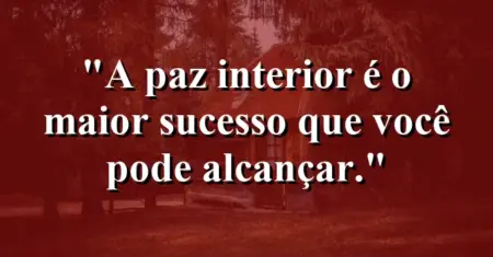 A paz interior é o maior sucesso que você pode alcançar.
