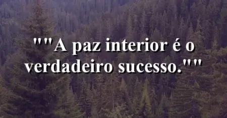 “A paz interior é o verdadeiro sucesso.”