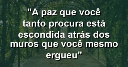“A paz que você tanto procura está escondida atrás dos muros que você mesmo ergueu”