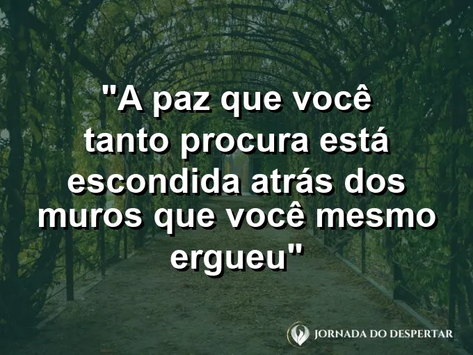 ATRIBUTO ALT DA IMAGEM COM A FRASE: Uma parede de pedra com uma abertura por onde passa uma luz dourada e florescem pequenas plantas.