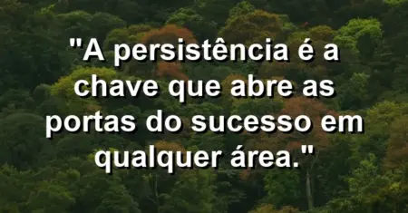 “A persistência é a chave que abre as portas do sucesso em qualquer área.”