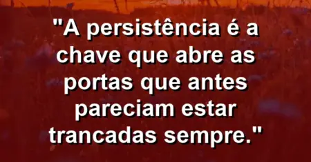 “A persistência é a chave que abre as portas que antes pareciam estar trancadas sempre.”