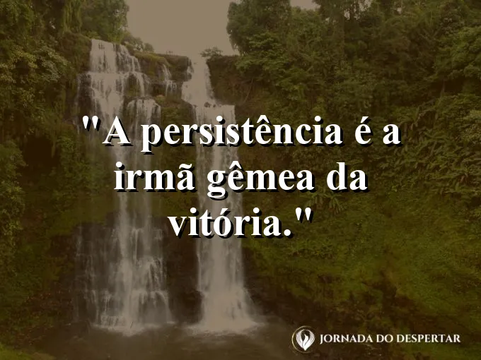 Uma videira subindo por uma parede de concreto com vigor.