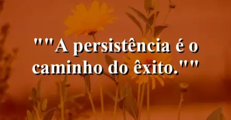 “A persistência é o caminho do êxito.”