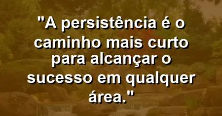 “A persistência é o caminho mais curto para alcançar o sucesso em qualquer área.”