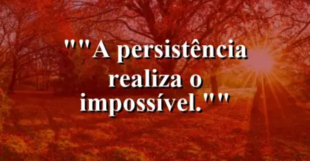 “A persistência realiza o impossível.”