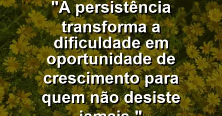 “A persistência transforma a dificuldade em oportunidade de crescimento para quem não desiste jamais.”