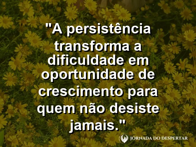 Planta crescendo através de uma rachadura no concreto com frase sobre dificuldade e crescimento.