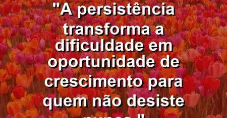 “A persistência transforma a dificuldade em oportunidade de crescimento para quem não desiste nunca.”