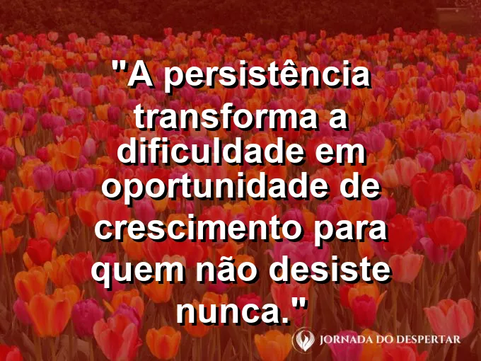 Planta brotando em meio a pedras secas com frase sobre persistência e crescimento.