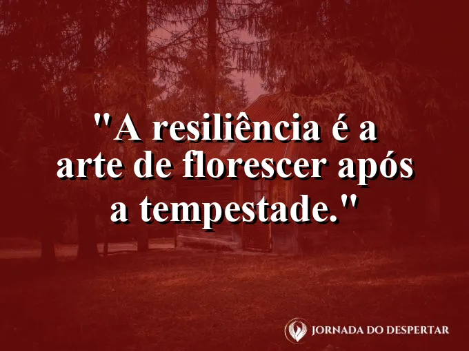 Flor colorida com gotas de chuva sob o sol que volta a brilhar.