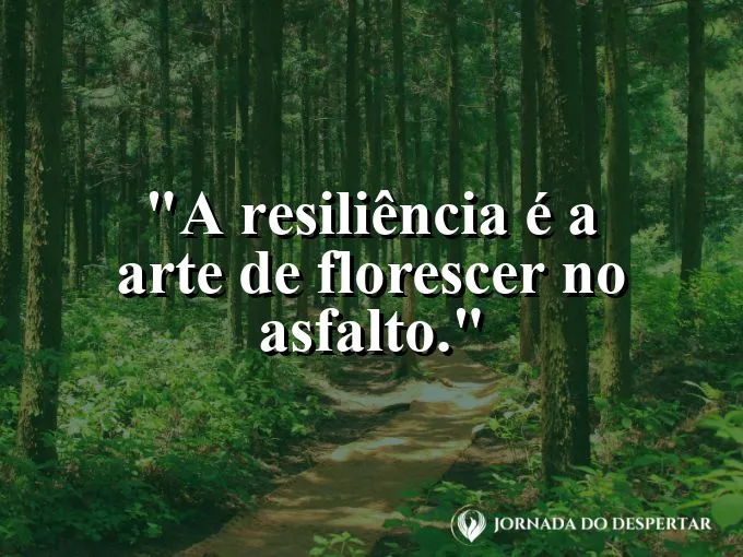 Pequena flor colorida brotando em uma fresta de calçada cinza.