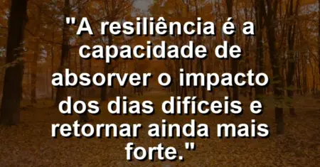 “A resiliência é a capacidade de absorver o impacto dos dias difíceis e retornar ainda mais forte.”
