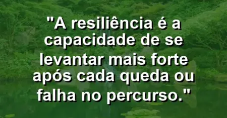 “A resiliência é a capacidade de se levantar mais forte após cada queda ou falha no percurso.”