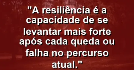 “A resiliência é a capacidade de se levantar mais forte após cada queda ou falha no percurso atual.”