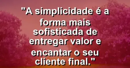 “A simplicidade é a forma mais sofisticada de entregar valor e encantar o seu cliente final.”