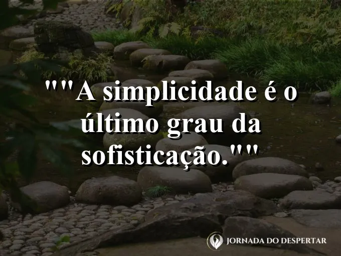 Uma gota de orvalho perfeitamente equilibrada em uma pétala.
