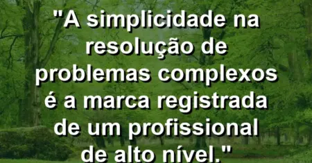 “A simplicidade na resolução de problemas complexos é a marca registrada de um profissional de alto nível.”