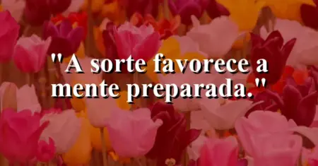 A sorte favorece a mente preparada.