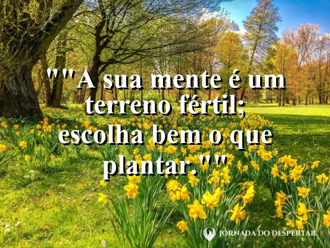 Campo de trigo dourado balançando ao vento.