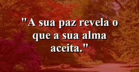 A sua paz revela o que a sua alma aceita.