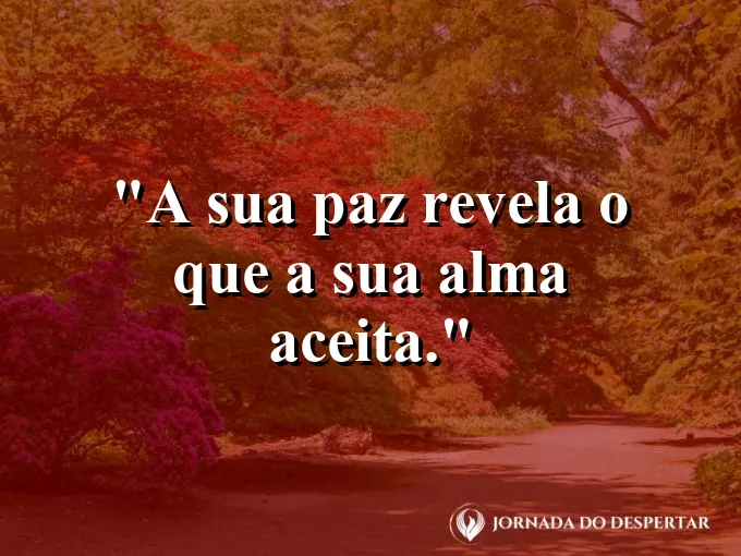 Frase sobre autoconhecimento e autoestima: A sua paz revela o que a sua alma aceita.