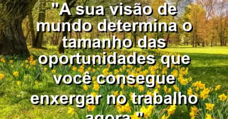 “A sua visão de mundo determina o tamanho das oportunidades que você consegue enxergar no trabalho agora.”
