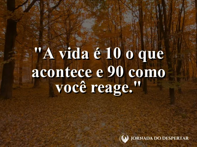 Um barco enfrentando ondas mas mantendo o rumo.