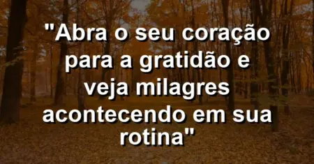 “Abra o seu coração para a gratidão e veja milagres acontecendo em sua rotina”