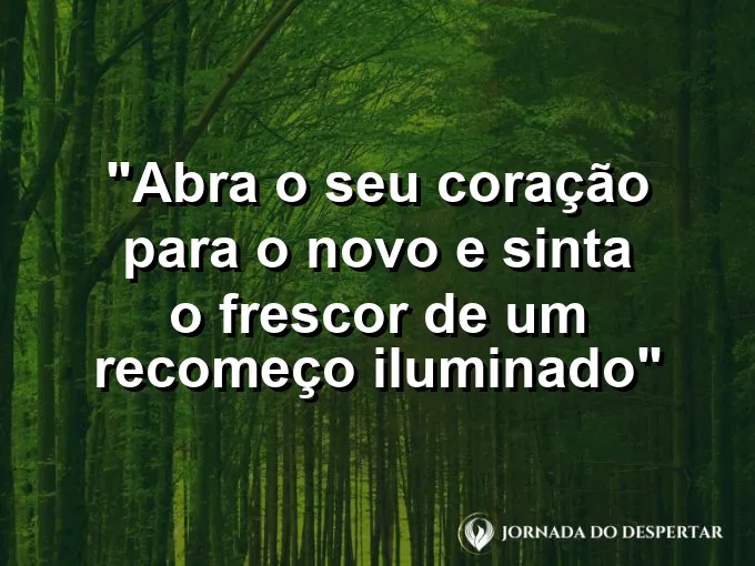 Pequeno broto de flor desabrochando em um jardim recebendo os primeiros raios de sol matinal.