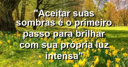 “Aceitar suas sombras é o primeiro passo para brilhar com sua própria luz intensa”