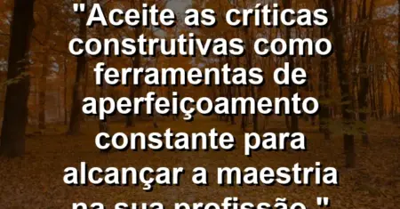 “Aceite as críticas construtivas como ferramentas de aperfeiçoamento constante para alcançar a maestria na sua profissão.”