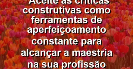 “Aceite as críticas construtivas como ferramentas de aperfeiçoamento constante para alcançar a maestria na sua profissão agora.”