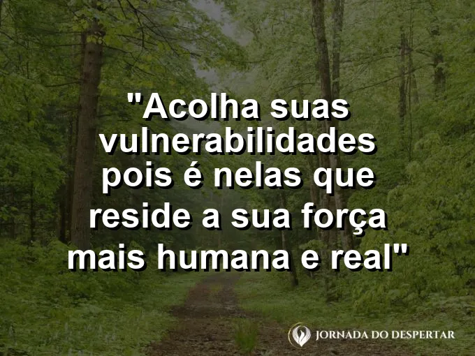 ATRIBUTO ALT DA IMAGEM COM A FRASE: Uma pequena planta crescendo através de uma fenda em uma rocha sólida, mostrando força e delicadeza.