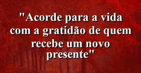 “Acorde para a vida com a gratidão de quem recebe um novo presente”