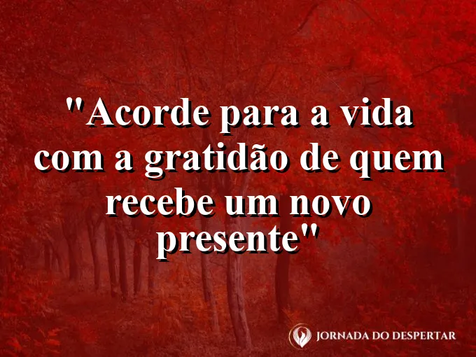 bom-dia-acordar-vida-gratidao-quem-recebe-presente