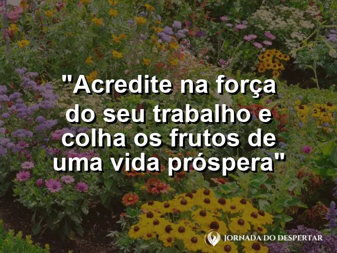 Cesta cheia de frutas frescas e pães sobre uma mesa rústica iluminada pelo sol.